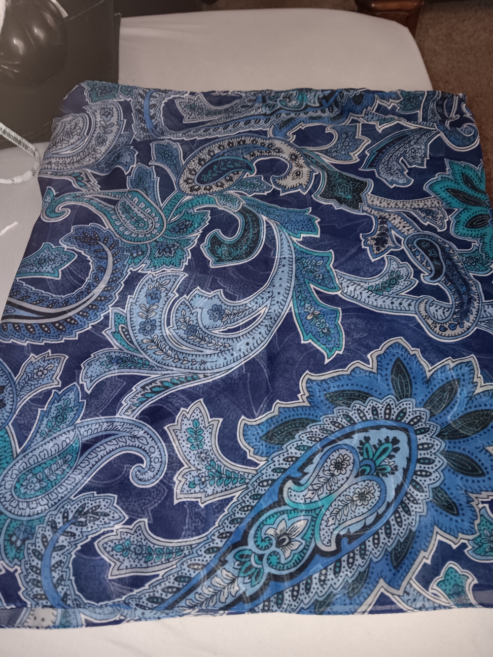 Blue Paisley Women's Scarf